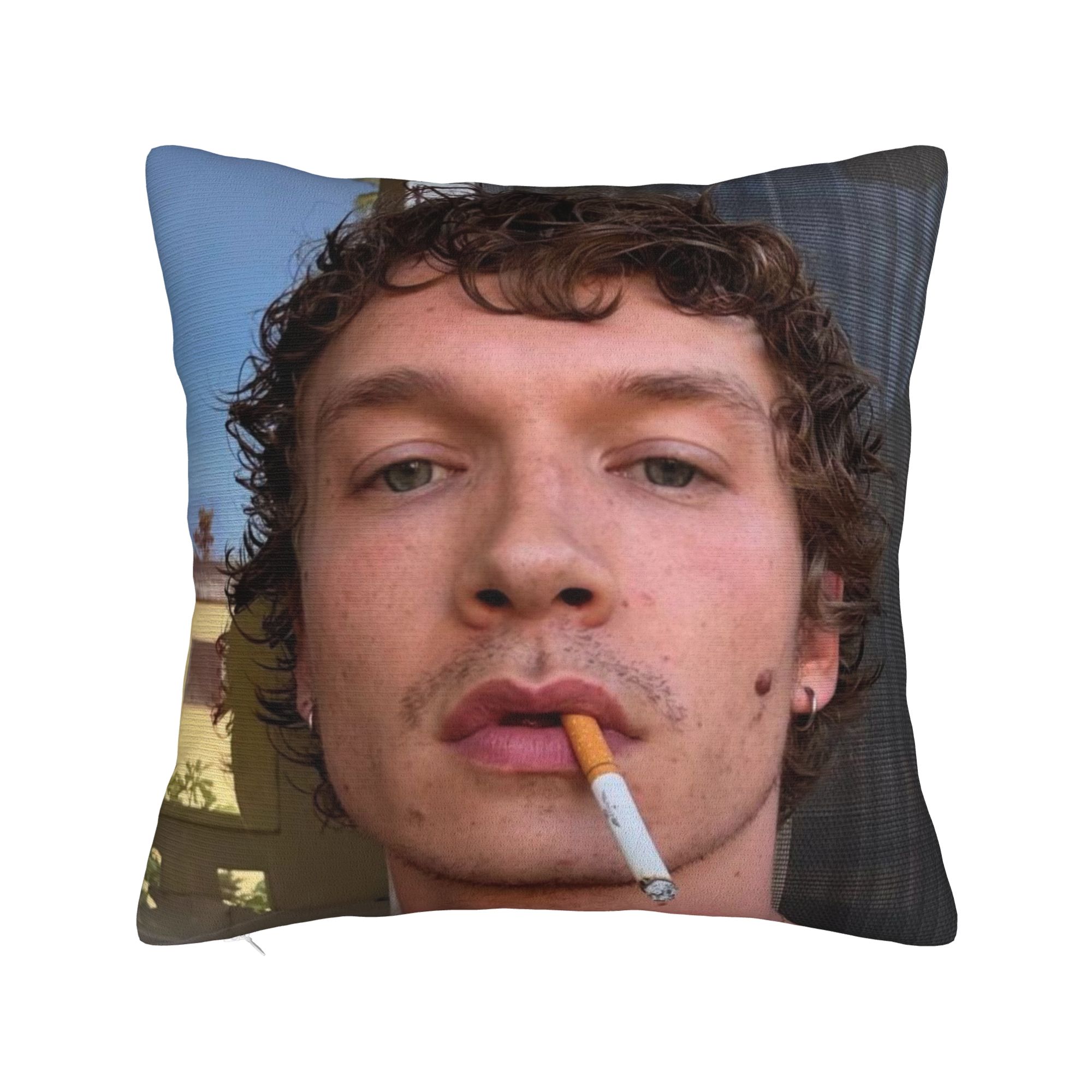 Pillow Cover Sublimation - Funda de almohada decorativa Hudson Williams